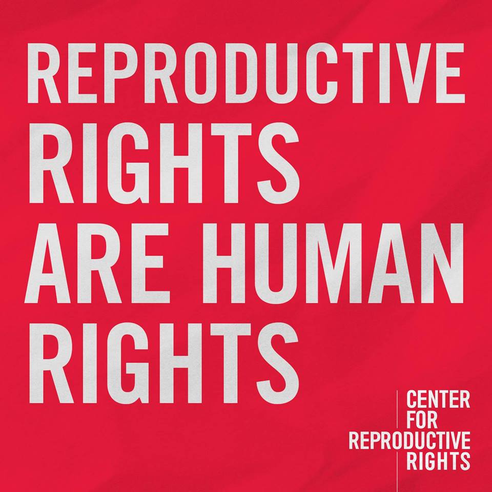 Image result for Reproductive Rights